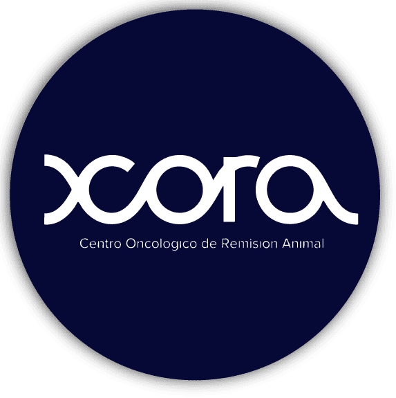 Logo aliado 1